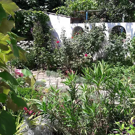 Pensionat Guest House Vedrina