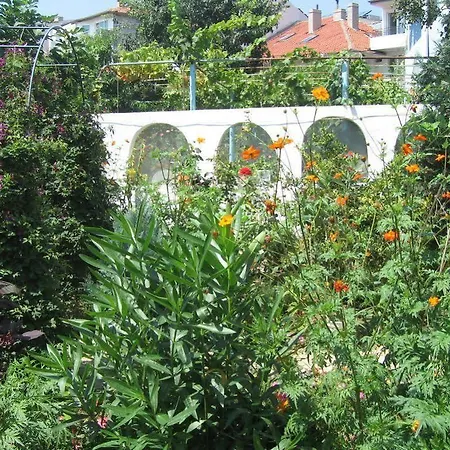 Guest House Vedrina 3*